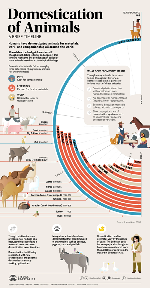 Domestication of Animals