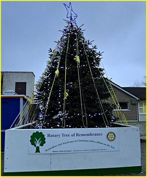 Rotary Remembrance tree