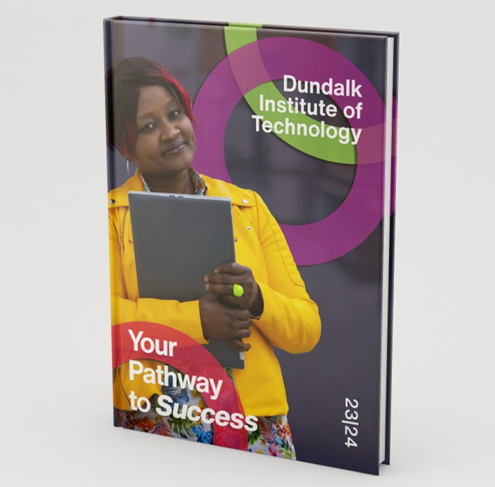 DkIT’s Flexible Part-time Industry Recognised Learning - Careers and ...