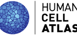 HCA Human Cell Atlas